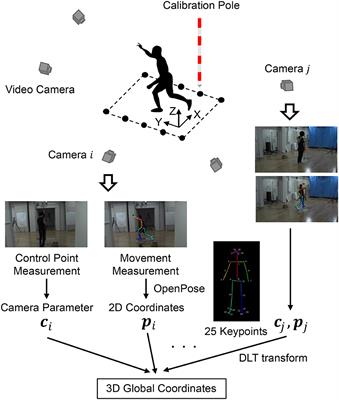 Evaluation of 3D Markerless Motion Capture Accuracy Using OpenPose With Multiple Video Cameras